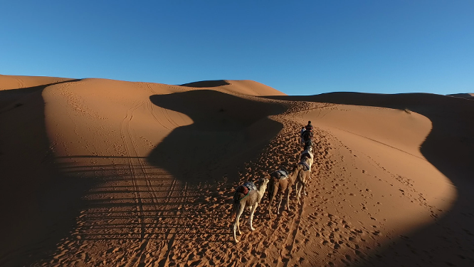 摩洛哥撒哈拉沙漠骑骆驼