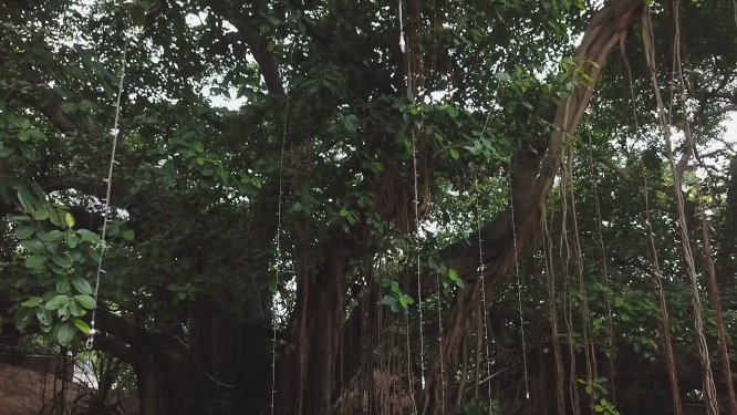 斯里兰卡特色餐厅及美食 