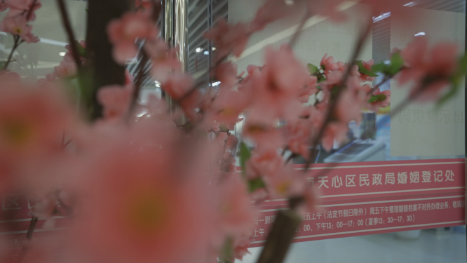 民政局婚姻登记