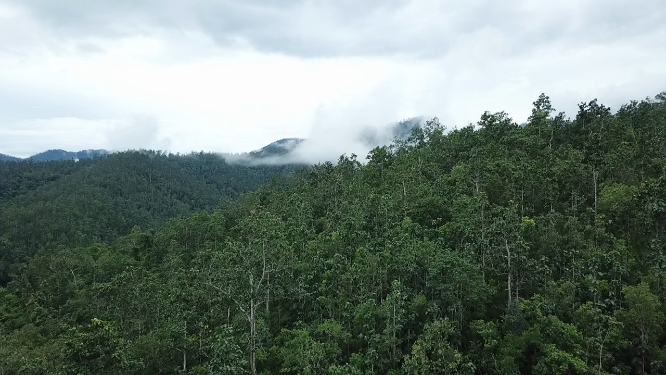 泰国清迈拜县热带雨林航拍
