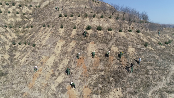 荒山上种树航拍