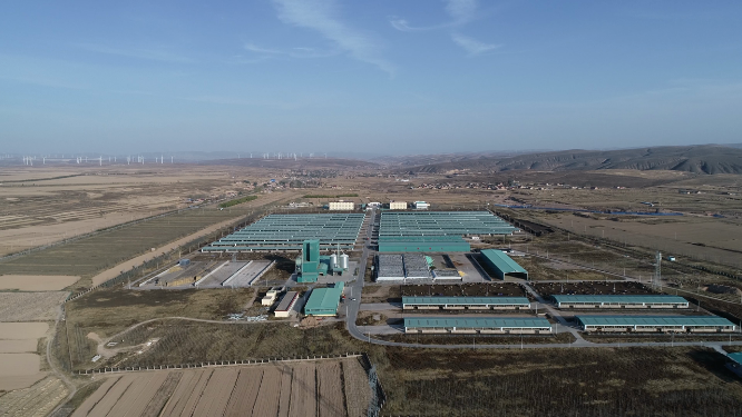 贺兰山下的肉牛养殖基地航拍