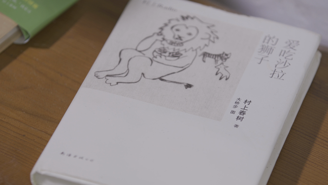 三亚中寮村村上书屋书籍