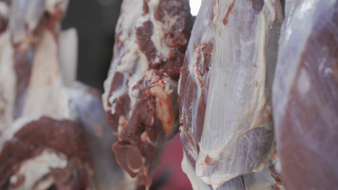会跳舞的牛肉
