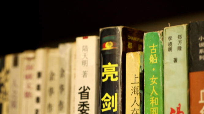 北京杂书馆书架上书籍特写