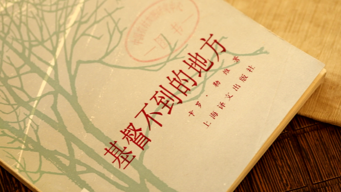 北京杂书馆单本书特写