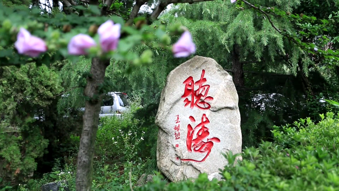 开满花的树