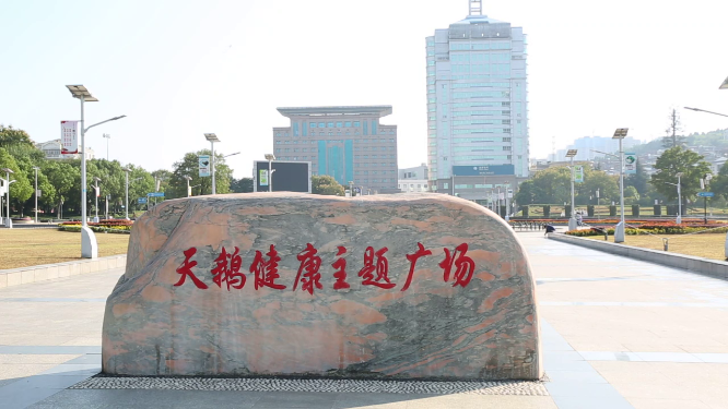 湖北荆门天鹅广场场景拍摄