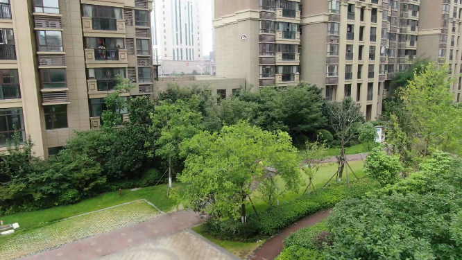 小区消杀工作
