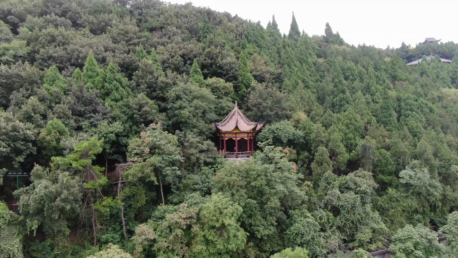 航拍树林凉亭