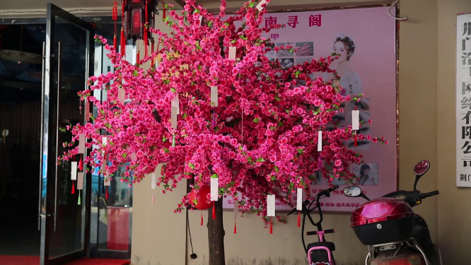 景区许愿树 
