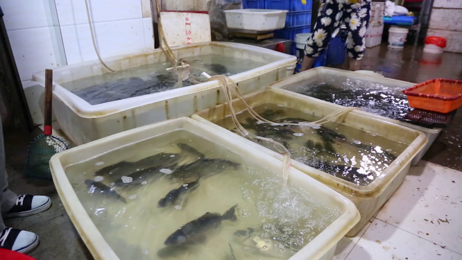 菜市场活鱼