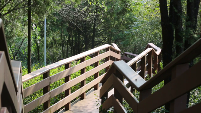 山间走道