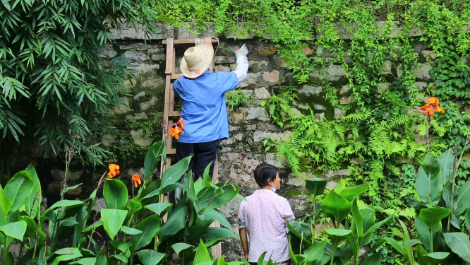 修剪绿植的工人 