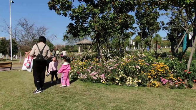 湖北植物园游客赏花拍摄