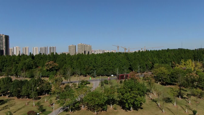 湖北荆门植物园场景拍摄