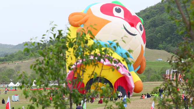 草地上观看表演的人群 