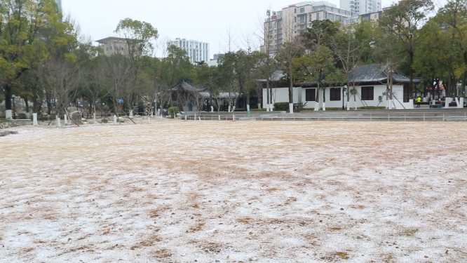 湖北荆门龙泉公园雪景拍摄