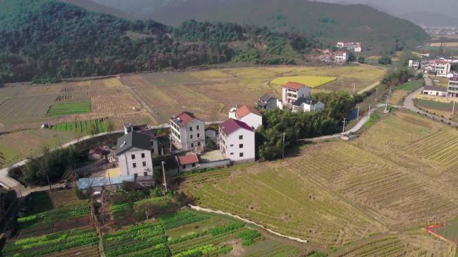 航拍田间农村稻田建筑