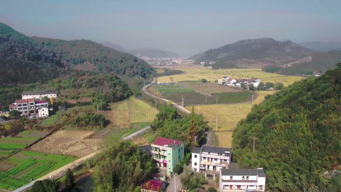 航拍田间农村稻田建筑