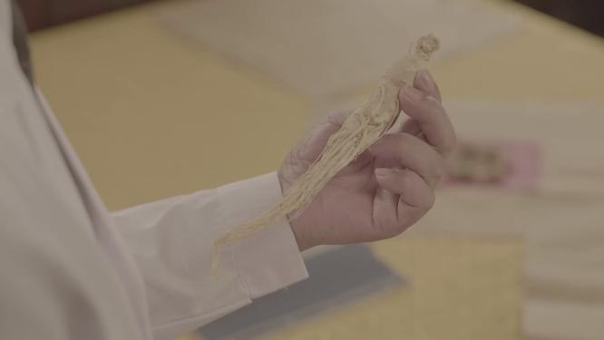 中药房里的人参