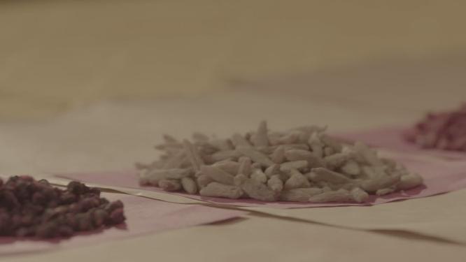 中医药房药剂师抓药称药分药