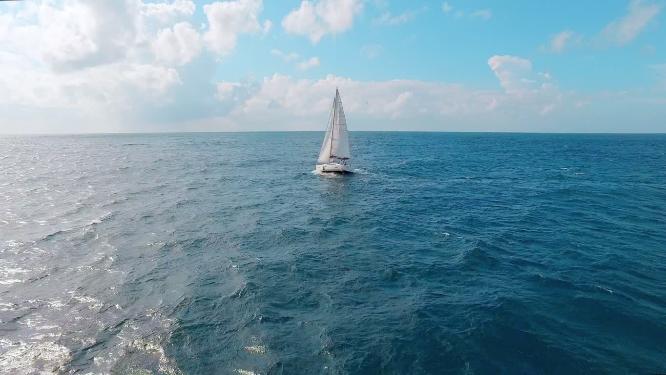 滨海景观和白帆船出海
