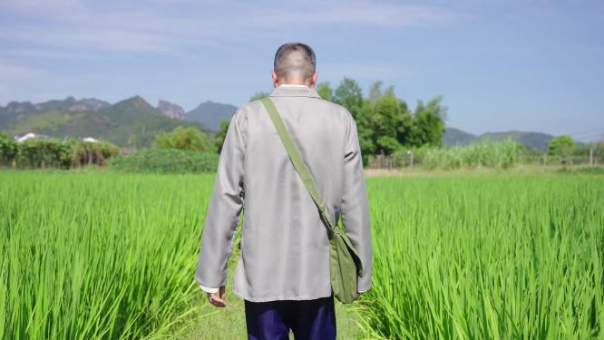 田地田间行走