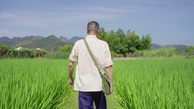 田地田间行走