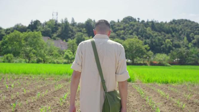 田地田间行走