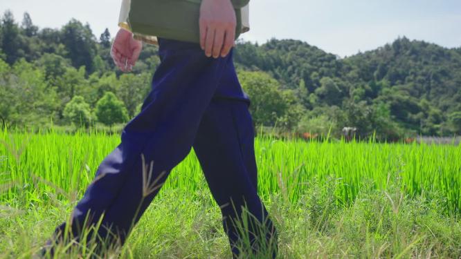 田地田间行走