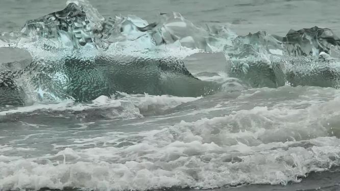 海面冰面冰块水鸟