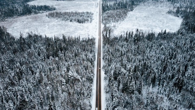 冬天森林的道路