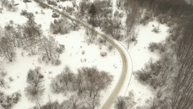 雪地林间道路
