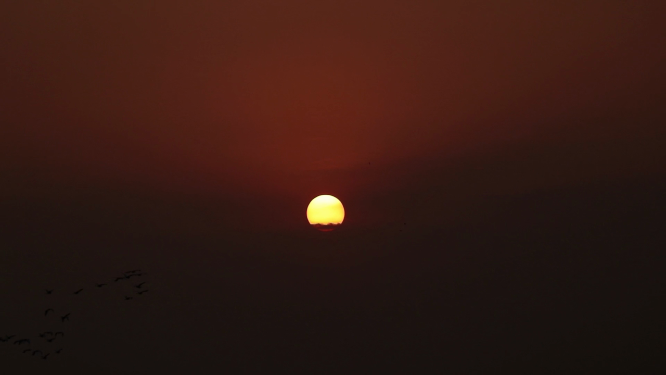 长河落日圆大雁向南飞