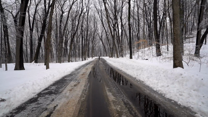 雪地的林间道路