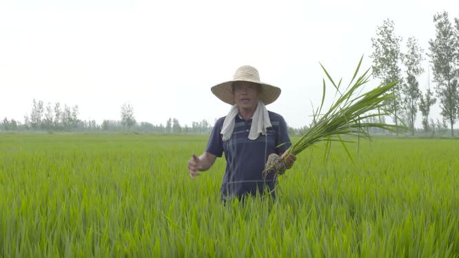 农民竖大拇指