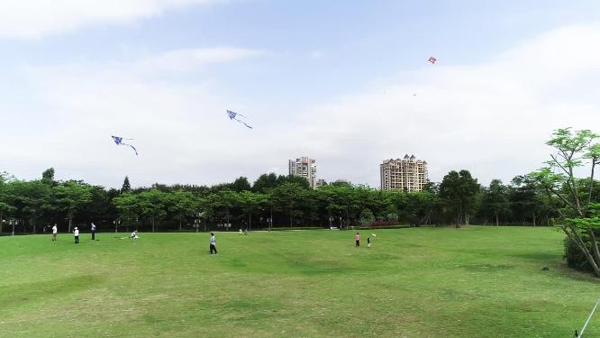 草坪上放风筝的人顺峰山公园