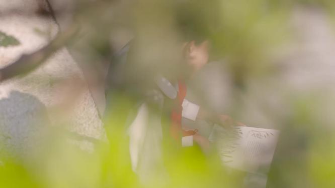 阳光下看书的女孩