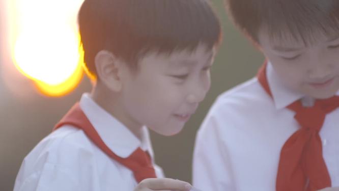 原创实拍阳光下看书的小男孩