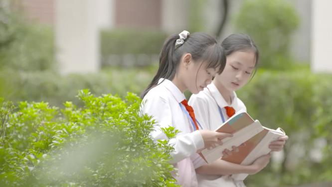 校园一角学生认真读书