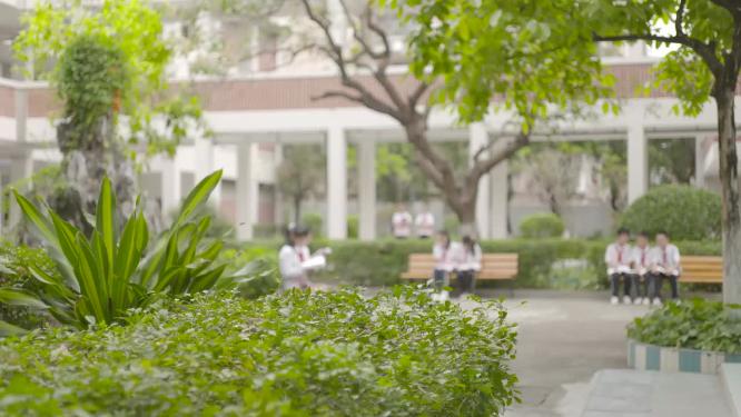 校园一角学生认真读书