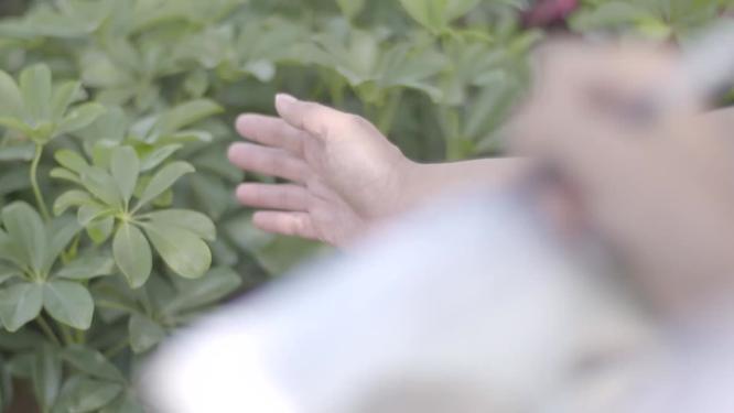 生物课堂教学手摸叶子生物研究老师