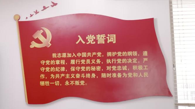 党员入党誓词永远跟党走