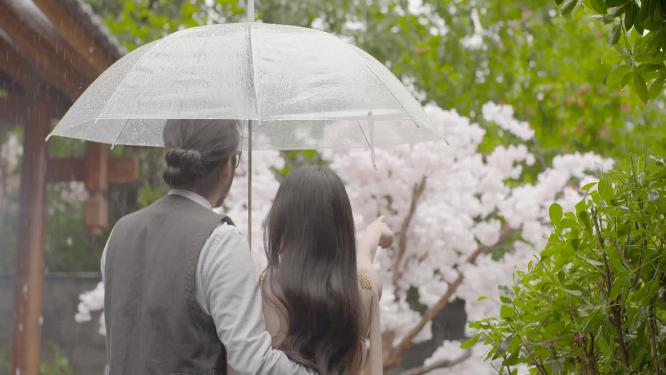 唯美浪漫情侣冒雨看樱花背影