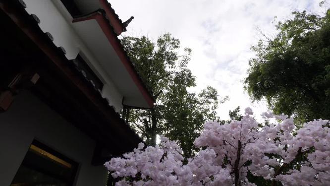 纳西族建筑屋檐延时