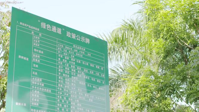 高速收费站ETC绿色通道检查放行