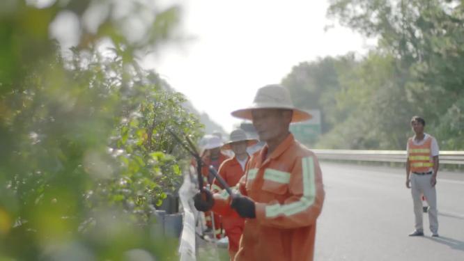 高速路政人员清理高速公路养护修剪树叶绿化