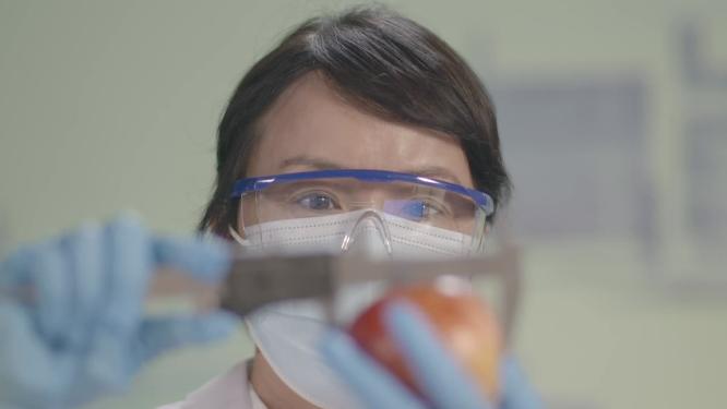 实验室教授做实验研发团队技术人员博士研讨水果苹果蔬菜质检人员农业