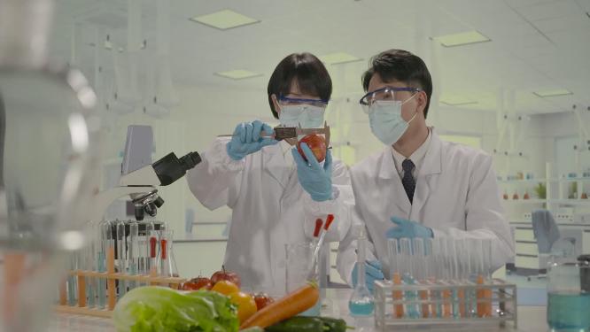 实验室教授做实验研发团队技术人员博士研讨水果苹果蔬菜质检人员农业